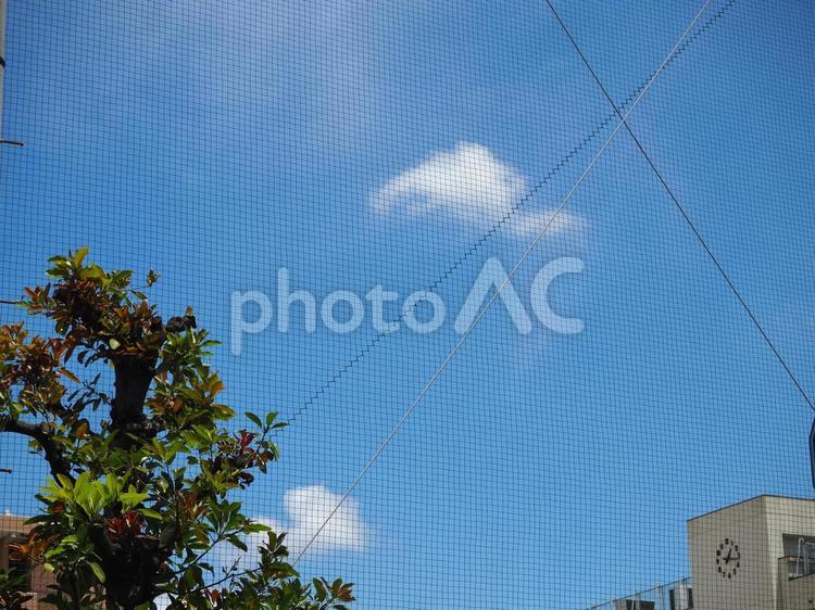 学校のイメージ 空,風景,シーンの写真素材