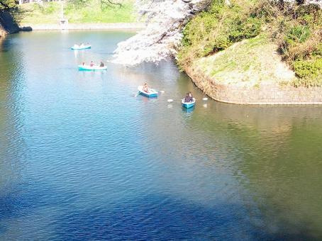 千鳥ヶ淵 千鳥ヶ淵の写真