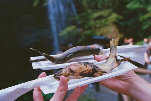 滝を眺めながらいただく鮎 滝を眺めながらいただく鮎の写真