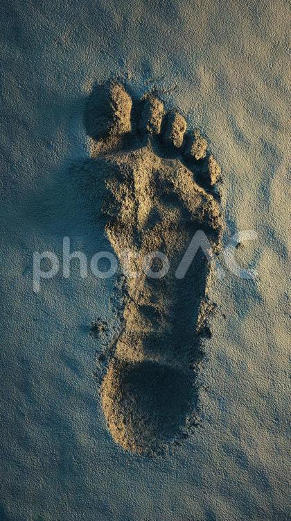 夕日に照らされた砂浜の足跡 足跡,足,砂の写真素材