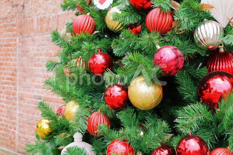 色鮮やかなクリスマスツリー クリスマス,冬,モミの木の写真素材