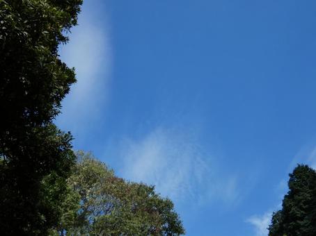 青空と雲を見上げる04 青空と雲を見上げる04の写真