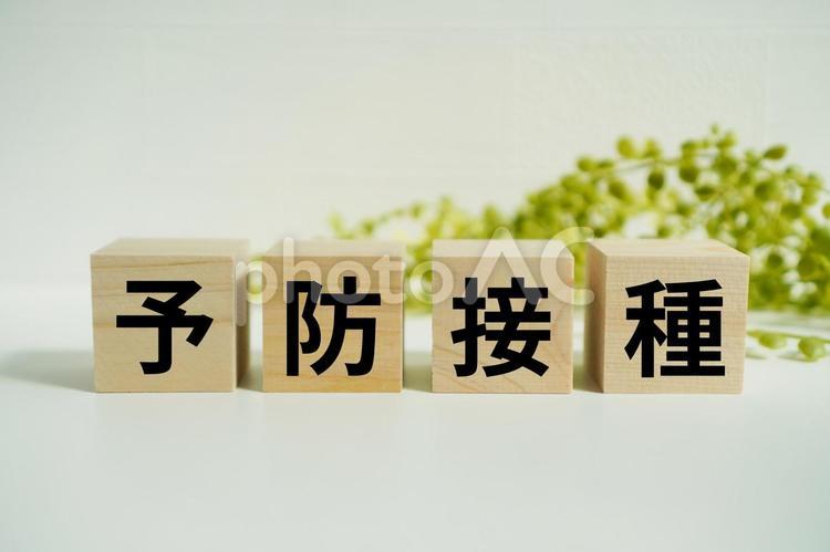木製ブロックに『予防接種』の文字 予防接種,ワクチン,感染症の写真素材