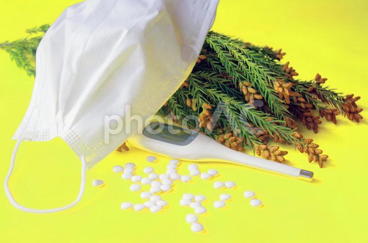 花粉症イメージ 花粉症,薬,スギの写真素材