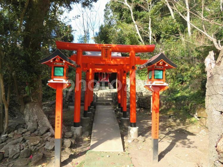館山市洲崎神社の境内社稲荷神社 洲崎神社,境内社,稲荷神社の写真素材