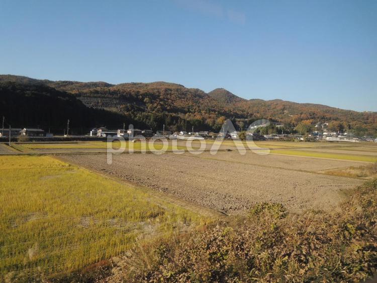車窓から　稲刈り後　紅葉 稲刈り後,田んぼ,秋の写真素材