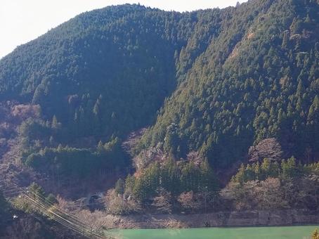 秋の公園と紅葉の池 秋の公園と紅葉の池 掛川,山,風景の写真素材
