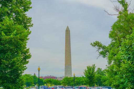 ワシントン記念塔 ワシントン記念塔 公園,ワシントン記念塔,木の写真素材