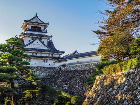 【高知県】高知市・高知城 高知城,高知公園,天守閣の写真素材