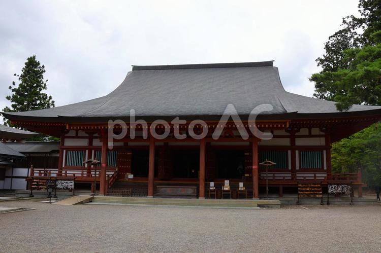 ８月上旬の平泉の毛越寺の伽藍 背景,毛越寺,寺の写真素材