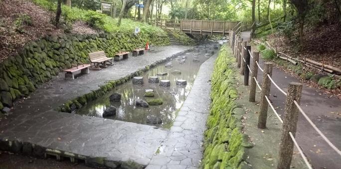 柿田川公園 湧水広場 柿田川公園 湧水広場の写真