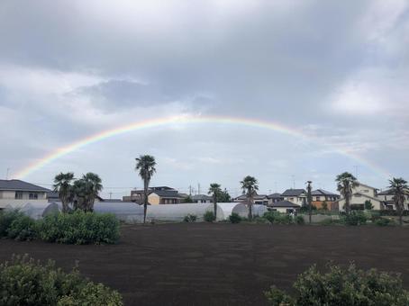 Photo, rainbow, evening, sky, 