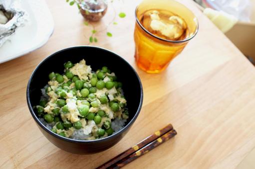 豆ごはん 豆ごはん 豆ごはん,豆ご飯,まめごはんの写真素材