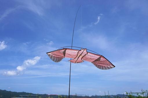 鳥よけカイト（鷹）11 鳥よけカイト,鳥除け,防鳥の写真素材
