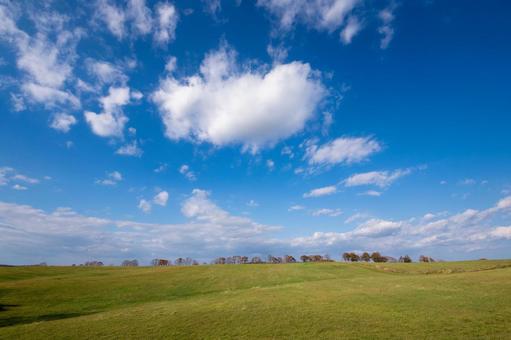 雄大な雲が浮かぶ緩やかな牧草地の丘 丘,広大,雲模様の写真素材
