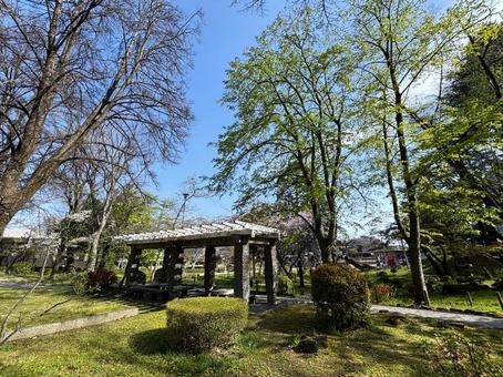 公園のベンチ 公園のベンチの写真