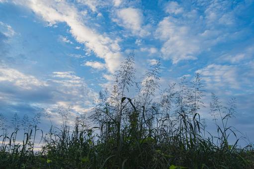 秋の朝の空 秋の朝の空の写真