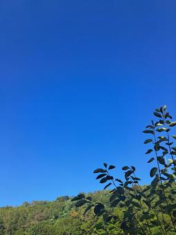 快晴の山 快晴の山の写真