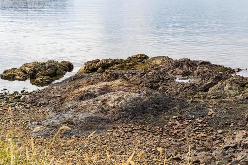 静岡県浜松市 秋の浜名湖　大崎　湖岸の岩 日本,静岡県,浜松市の写真素材