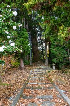 八雲神社⑶ 神社,八雲神社,神社仏閣の写真素材