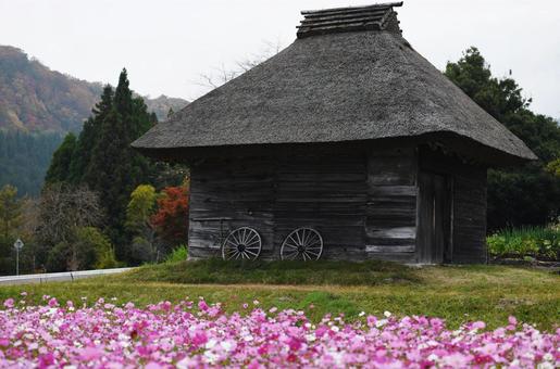 自然 自然,風景,花の写真素材