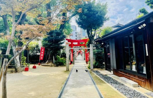 宇賀神社 宇賀神社,黒田稲荷,神社の写真素材