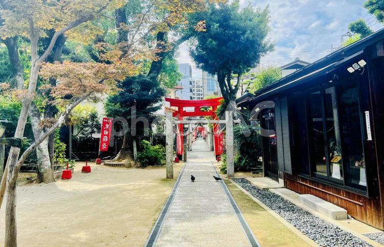 宇賀神社 宇賀神社,黒田稲荷,神社の写真素材