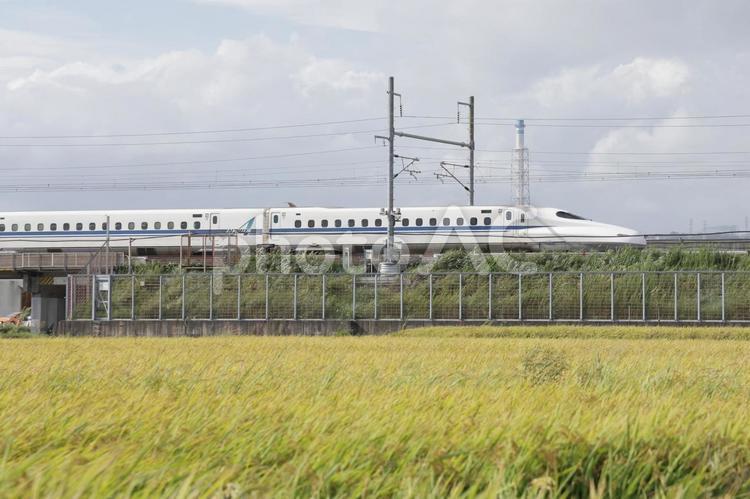 田園地帯を走る 東海道新幹線,新幹線,田園の写真素材