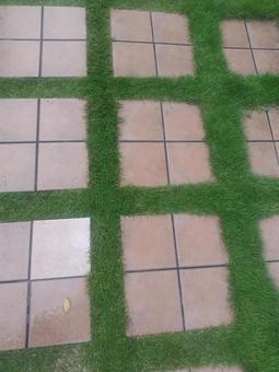 芝生 芝生,タイル,地面の写真素材