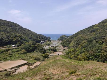 春日の棚田 春日の棚田 あぜ道,春日,棚田の写真素材