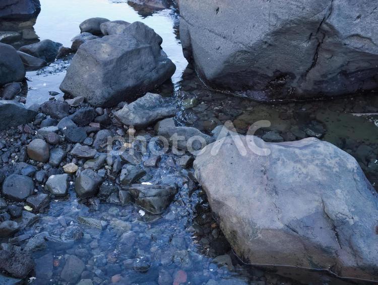 海岸の潮溜まり 海岸,海,岩の写真素材