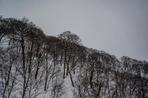 谷川岳ロープウェイから見た景色 谷川岳ロープウェイから見た景色の写真