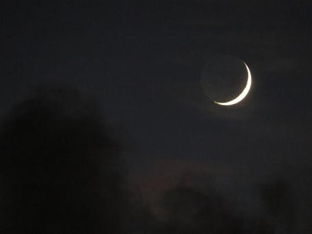 夕暮れ時の三日月(地球照) 夕暮れ時の三日月(地球照)の写真
