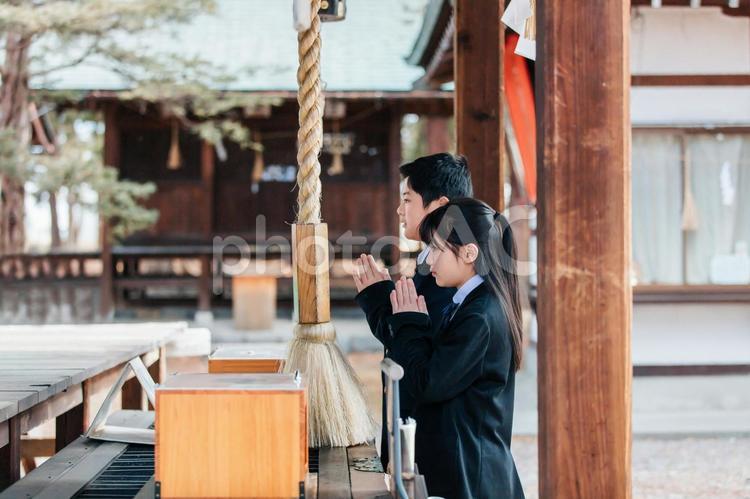 合格祈願をする学生　Students  神社,祈り,合格祈願の写真素材