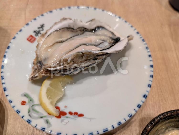 牡蠣 牡蠣,オイスター,かきの写真素材