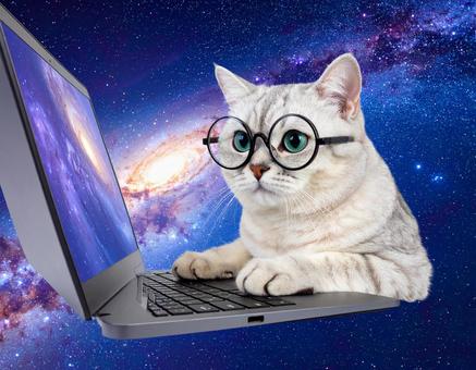 宇宙で仕事をする猫 宇宙で仕事をする猫の写真