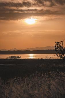 道東・野付半島 すすき揺れる黄昏 野付半島,野付湾,道東の写真素材