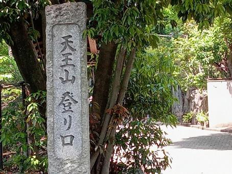 Photo, kyoto, oyamazaki, tennōzan, 