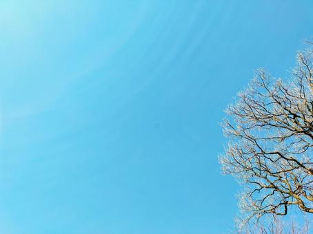 冬の空 冬の空の写真