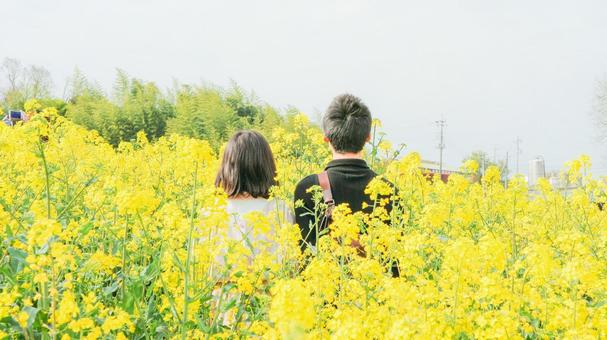 カップルの写真素材 写真素材なら 写真ac 無料 フリー ダウンロードok