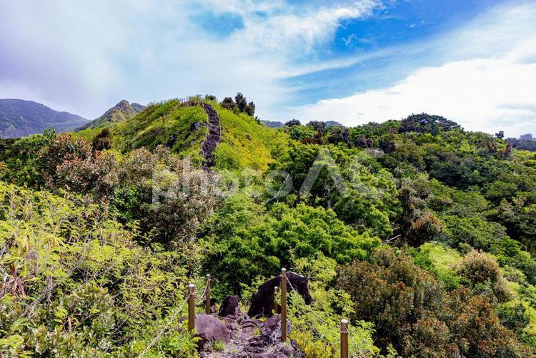 小笠原諸島・母島　小剣先山から望む風景 小笠原諸島,母島,小剣先山の写真素材