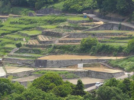 棚田の風景 棚田の風景 棚田,田んぼ,段々畑の写真素材