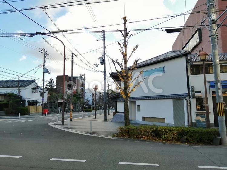 木屋町　二条　通り　京都 木屋町,二条,通りの写真素材