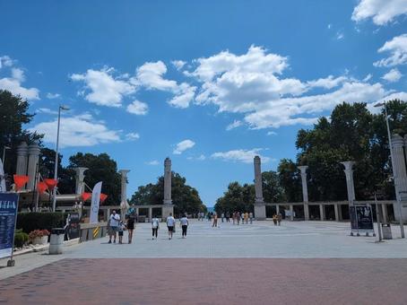 シーガーデンの写真