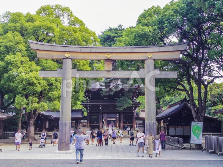 【東京都】明治神宮 明治神宮,渋谷区,原宿の写真素材