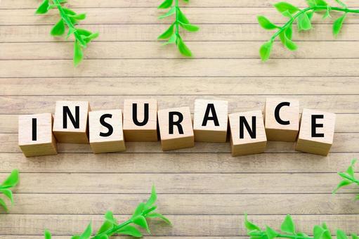 インシュランス（保険）の文字ブロック 保険,生命保険,インシュランスの写真素材