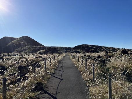 大島三原山山頂のススキ風景 大島,三原山,山頂の写真素材