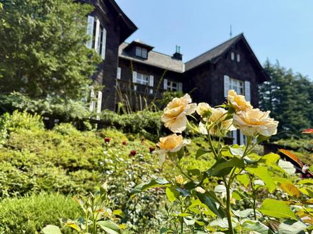 旧古河邸　旧古河庭園　7月のバラ園 旧古河邸,旧古河庭園,洋館の写真素材