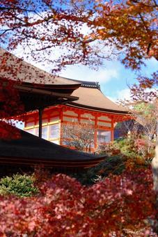 Kiyomizu Temple, JPG