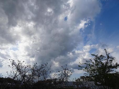 四月の雲-56 四月の雲-56 四月の雲,青空,空の写真素材